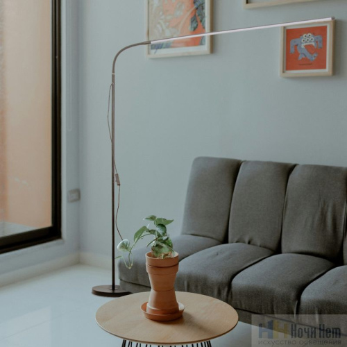 Торшер Favourite Mild 4515-1F, раздел каталога Светодиодные торшеры интернет-магазина Ночи Нет