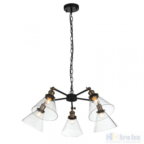 Люстра подвесная St.Luce Evoluto SL237.413.05, раздел каталога Люстры с плафонами интернет-магазина Ночи Нет