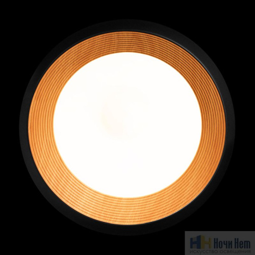 10255/500 Black Потолочный светильник LOFT IT Folk, раздел каталога Круглые современные светильники интернет-магазина Ночи Нет