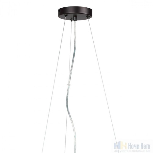 Люстра Lumion Zarina 8007/6, раздел каталога Люстры с плафонами интернет-магазина Ночи Нет