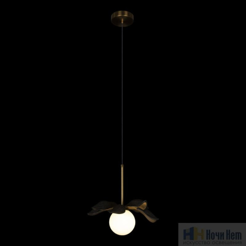 Светильник подвесной Loft IT Monro 10213/A Black, раздел каталога Подвесы 1 лампа интернет-магазина Ночи Нет