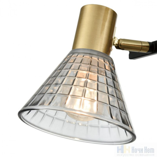 Люстра Lumion Anriya 8044/6C, раздел каталога Люстры с плафонами интернет-магазина Ночи Нет