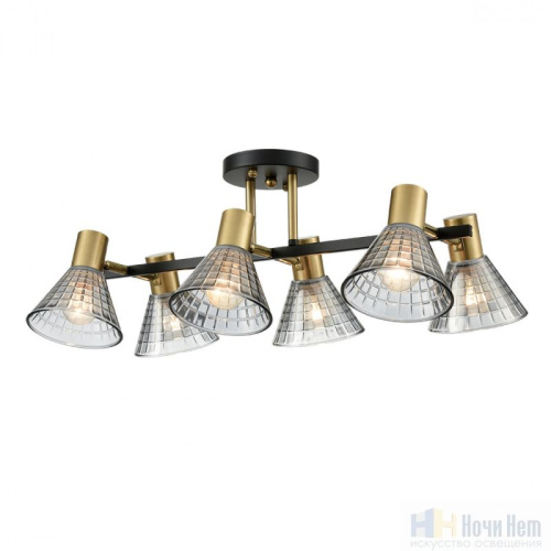 Люстра Lumion Anriya 8044/6C, раздел каталога Люстры с плафонами интернет-магазина Ночи Нет