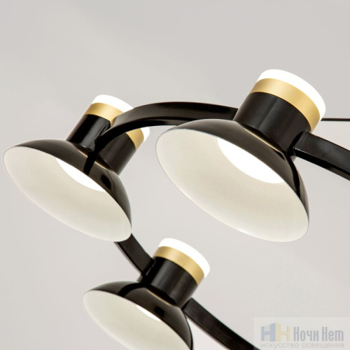 Люстра Favourite Tatti 4516-6P, раздел каталога Светодиодные люстры интернет-магазина Ночи Нет