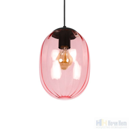 Светильник подвесной LOFT IT Bubble 10427 Purple, раздел каталога Подвесы 1 лампа интернет-магазина Ночи Нет