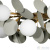 Люстра Loft IT Matisse 10008/12 Grey, раздел каталога Люстры с плафонами интернет-магазина Ночи Нет