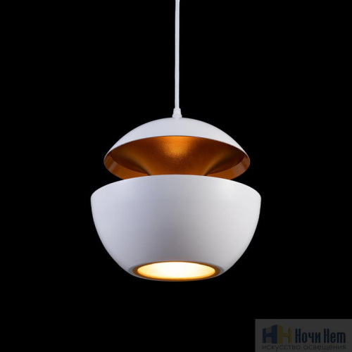 Светильник подвесной Loft IT Apple LOFT2213-A, раздел каталога Подвесы 1 лампа интернет-магазина Ночи Нет