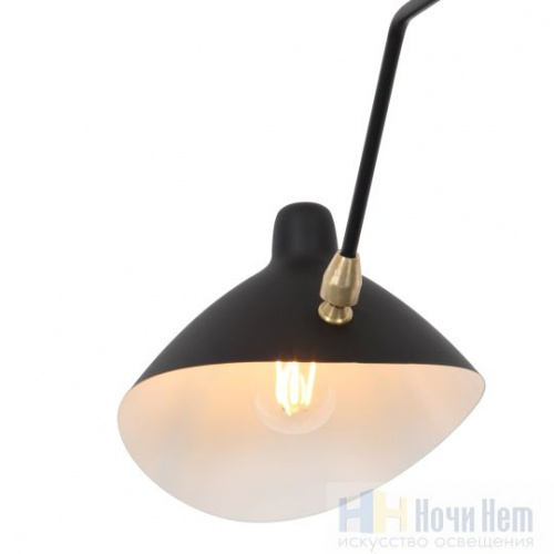 Люстра St.Luce Spruzzo SL305.402.03, раздел каталога Люстры с плафонами интернет-магазина Ночи Нет