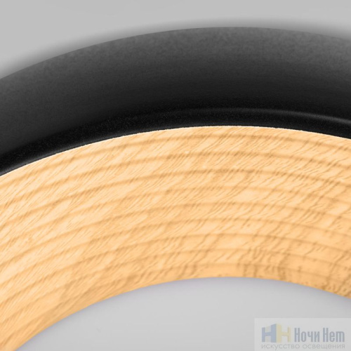 10255/350 Black Потолочный светильник LOFT IT Folk, раздел каталога Круглые современные светильники интернет-магазина Ночи Нет