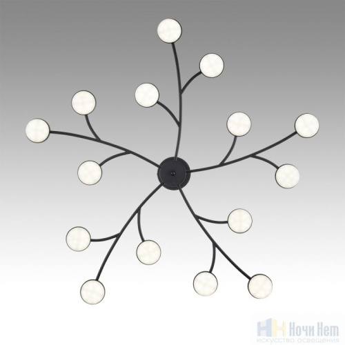 Люстра Lumion Torina 8117/15, раздел каталога Люстры с плафонами интернет-магазина Ночи Нет