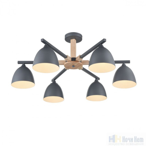 Люстра Lumion Colange 8096/6C, раздел каталога Люстры с плафонами интернет-магазина Ночи Нет