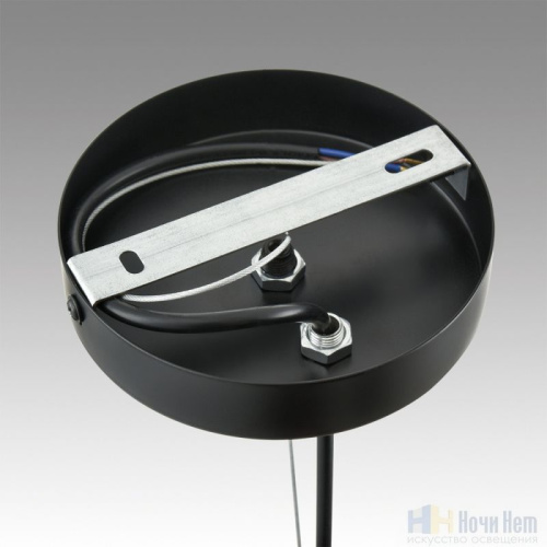 Люстра Lumion Corne 6595/4A, раздел каталога Люстры с плафонами интернет-магазина Ночи Нет