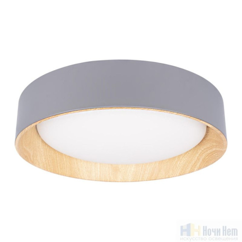 Светильник потолочный Loft IT Coin 10202 Grey, раздел каталога Круглые современные светильники интернет-магазина Ночи Нет