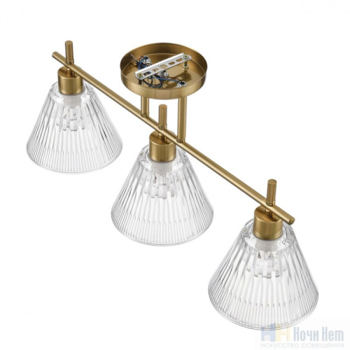 Люстра Lumion Vivian 8188/3C, раздел каталога Люстры с плафонами интернет-магазина Ночи Нет