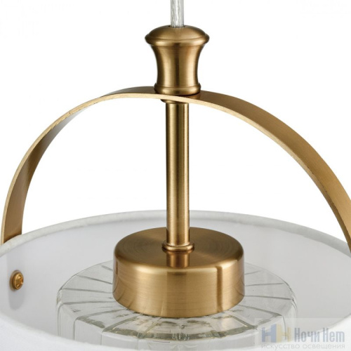 Светильник подвесной Lumion Jane 6593/1, раздел каталога Подвесы 1 лампа интернет-магазина Ночи Нет