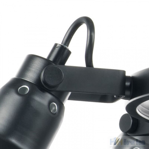 Люстра Lightstar Acrobata 761167, раздел каталога Люстры с плафонами интернет-магазина Ночи Нет