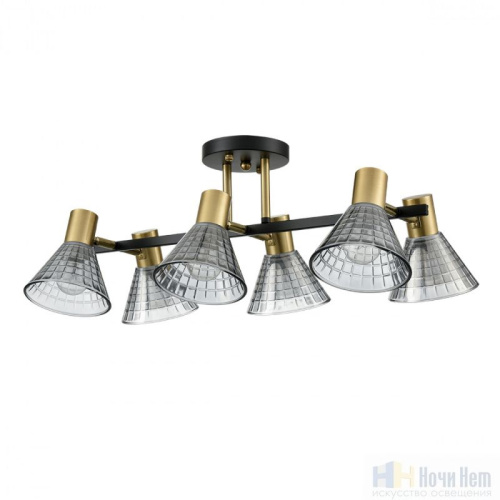 Люстра Lumion Anriya 8044/6C, раздел каталога Люстры с плафонами интернет-магазина Ночи Нет