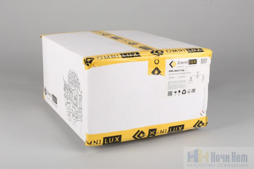 Люстра Omnilux Arosio OML-88417-06, раздел каталога Люстры с плафонами интернет-магазина Ночи Нет
