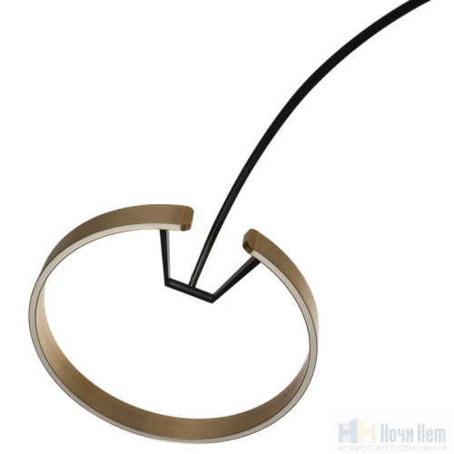 Торшер LOFT IT Ring 10027, раздел каталога Светодиодные торшеры интернет-магазина Ночи Нет