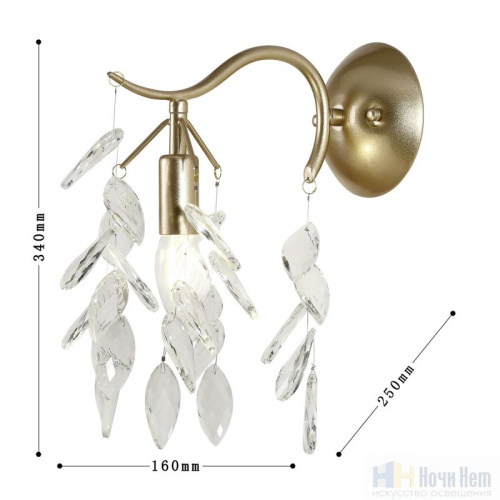 Бра Favourite Brillo 3003-1W, раздел каталога Хрустальные бра интернет-магазина Ночи Нет