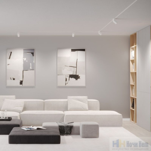 картинка Трековый SMART светильник для низковольного шинопровода Novotech Flum 359493 от магазина Ночи Нет!