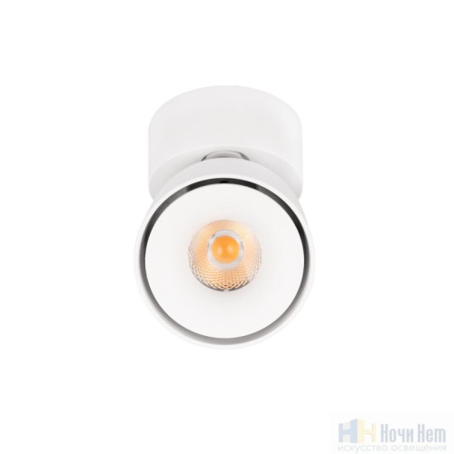 Светильник накладной LOFT IT Focus 10323/A White, раздел каталога Накладные точечные светильники интернет-магазина Ночи Нет