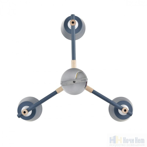 Люстра Lumion Rosalina 8098/3C, раздел каталога Люстры с плафонами интернет-магазина Ночи Нет