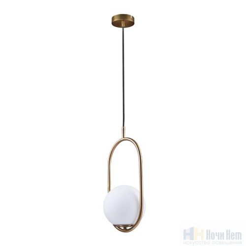 Светильник подвесной Loft IT Glob LOFT2595-A, раздел каталога Подвесы 1 лампа интернет-магазина Ночи Нет