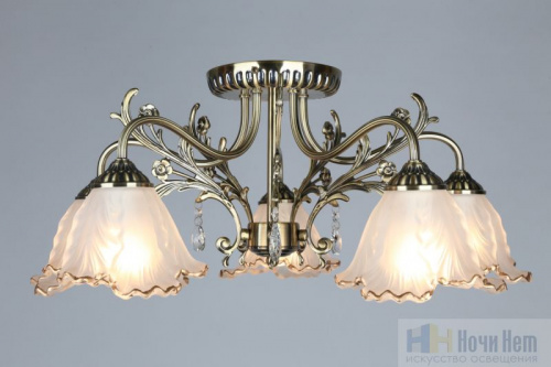 Люстра Omnilux Petrara OML-54807-05, раздел каталога Люстры с плафонами интернет-магазина Ночи Нет