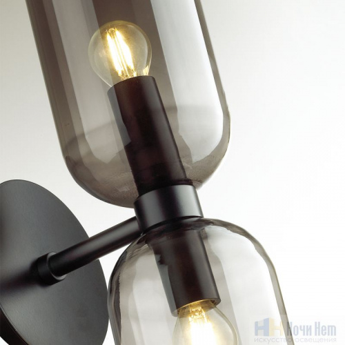 Бра Odeon Light Orinoco 4804/2W, раздел каталога Бра с плафоном интернет-магазина Ночи Нет