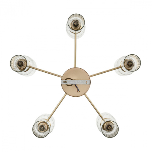 Люстра Lumion Kassia 6586/10, раздел каталога Люстры с плафонами интернет-магазина Ночи Нет