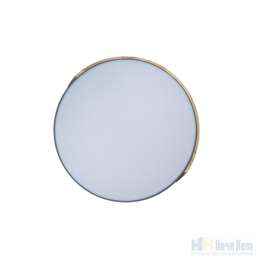 Светильник потолочный Loft IT Axel 10004/36 Grey, раздел каталога Круглые современные светильники интернет-магазина Ночи Нет