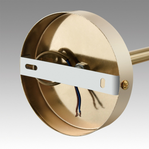 Люстра Lumion Kassia 6586/10, раздел каталога Люстры с плафонами интернет-магазина Ночи Нет