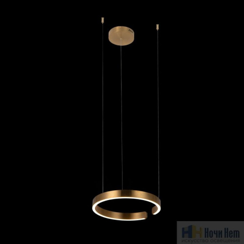 Люстра Loft IT Ring 10013S, раздел каталога Светодиодные люстры интернет-магазина Ночи Нет