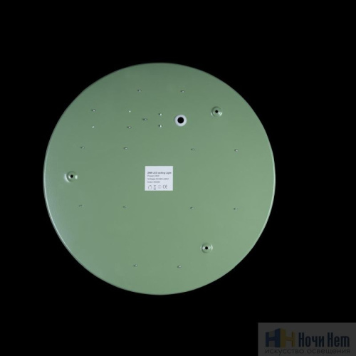 Светильник потолочный Loft IT Axel 10002/24 Green, раздел каталога Круглые современные светильники интернет-магазина Ночи Нет