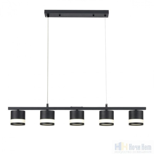 Люстра Lumion Lanika 8240/5, раздел каталога Люстры с плафонами интернет-магазина Ночи Нет