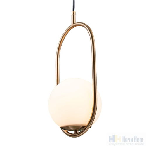 Светильник подвесной Loft IT Glob LOFT2595-A, раздел каталога Подвесы 1 лампа интернет-магазина Ночи Нет