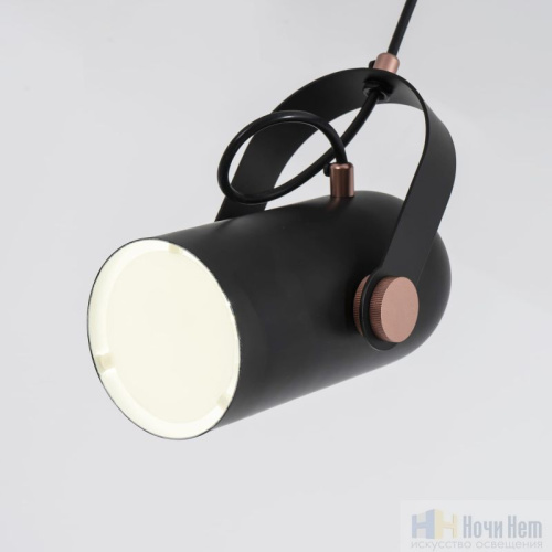 Светильник подвесной Favourite Ampolla 2007-1P, раздел каталога Подвесы 1 лампа интернет-магазина Ночи Нет