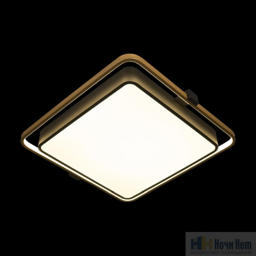 Светильник потолочный LOFT IT Mike 10172, раздел каталога Прямоугольные светильники интернет-магазина Ночи Нет