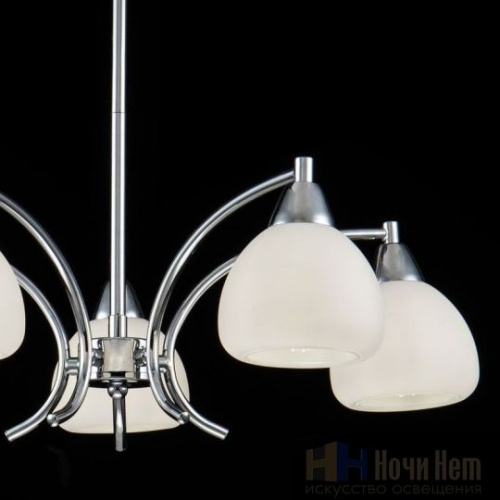 Люстра Freya Cindy FR5022PL-05CH, раздел каталога Люстры с плафонами интернет-магазина Ночи Нет