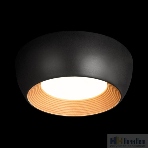 10255/350 Black Потолочный светильник LOFT IT Folk, раздел каталога Круглые современные светильники интернет-магазина Ночи Нет