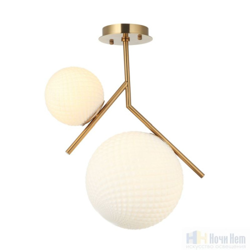 Светильник потолочный Aployt Marzena APL.300.07.02, раздел каталога Фигурные светильники интернет-магазина Ночи Нет