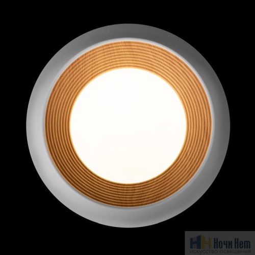 10255/350 White Потолочный светильник LOFT IT Folk, раздел каталога Круглые современные светильники интернет-магазина Ночи Нет
