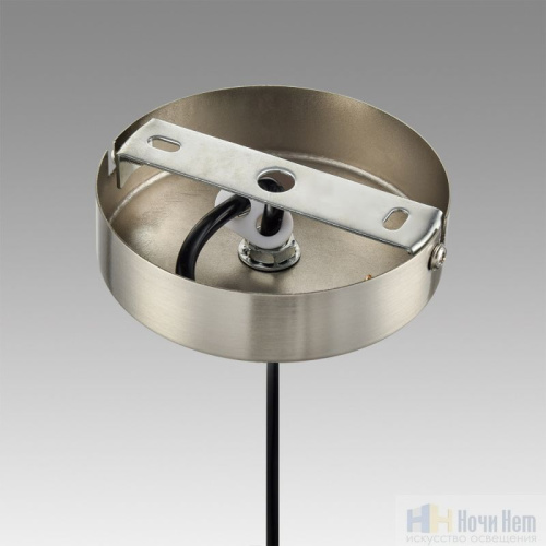 Светильник подвесной Lumion Ilaida 8038/1, раздел каталога Подвесы 1 лампа интернет-магазина Ночи Нет