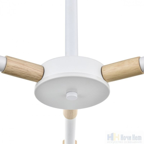 Люстра Lumion Rosalina 8097/3C, раздел каталога Люстры с плафонами интернет-магазина Ночи Нет