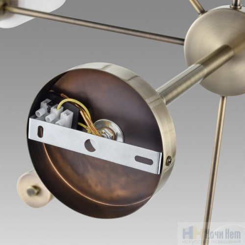 Люстра Lumion Mave 8100/12C, раздел каталога Люстры с плафонами интернет-магазина Ночи Нет