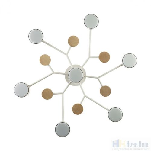 Люстра Lumion Rondo 8195/7C, раздел каталога Люстры с плафонами интернет-магазина Ночи Нет