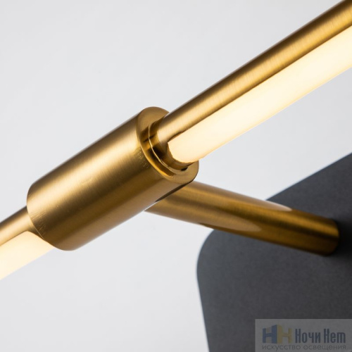 Подсветка для картин Favourite Insight 4016-2W, раздел каталога Подсветка для картин интернет-магазина Ночи Нет