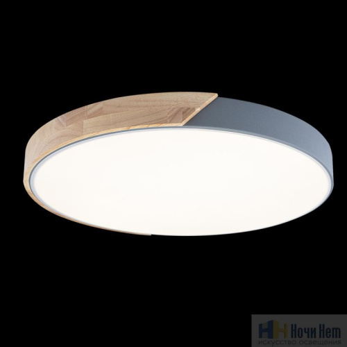 Светильник потолочный Loft IT Axel 10004/36 Grey, раздел каталога Круглые современные светильники интернет-магазина Ночи Нет