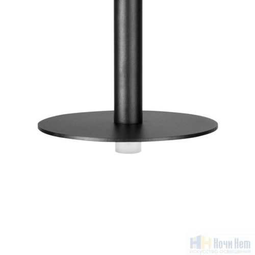 Светильник подвесной LOFT IT Reed 10358/830 Disk, раздел каталога Подвесы 1 лампа интернет-магазина Ночи Нет
